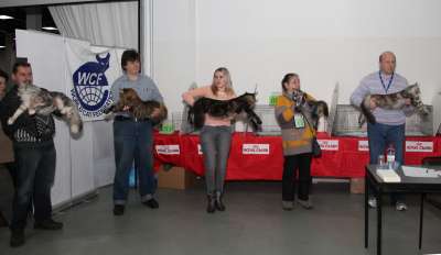 �������� ����� '������� ���-�����' 30 ������-1 ������� 2013., ������������ ��� 2488